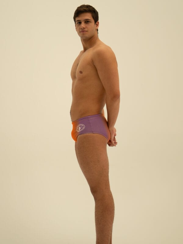 Modelo 2008 - Imagen 2