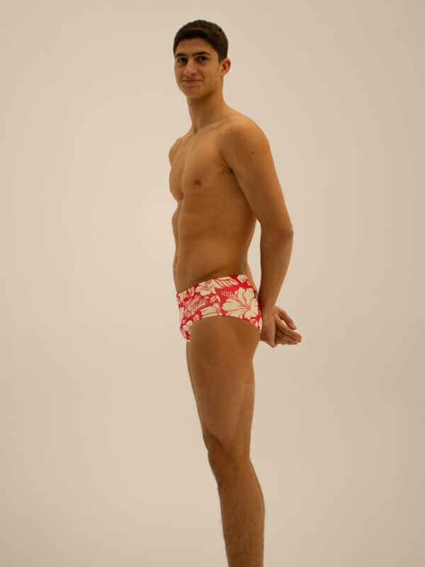 Modelo 2000 - Imagen 2