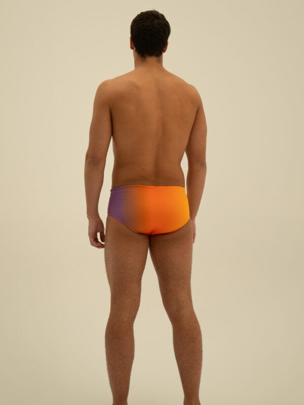 Modelo 2008 - Imagen 3